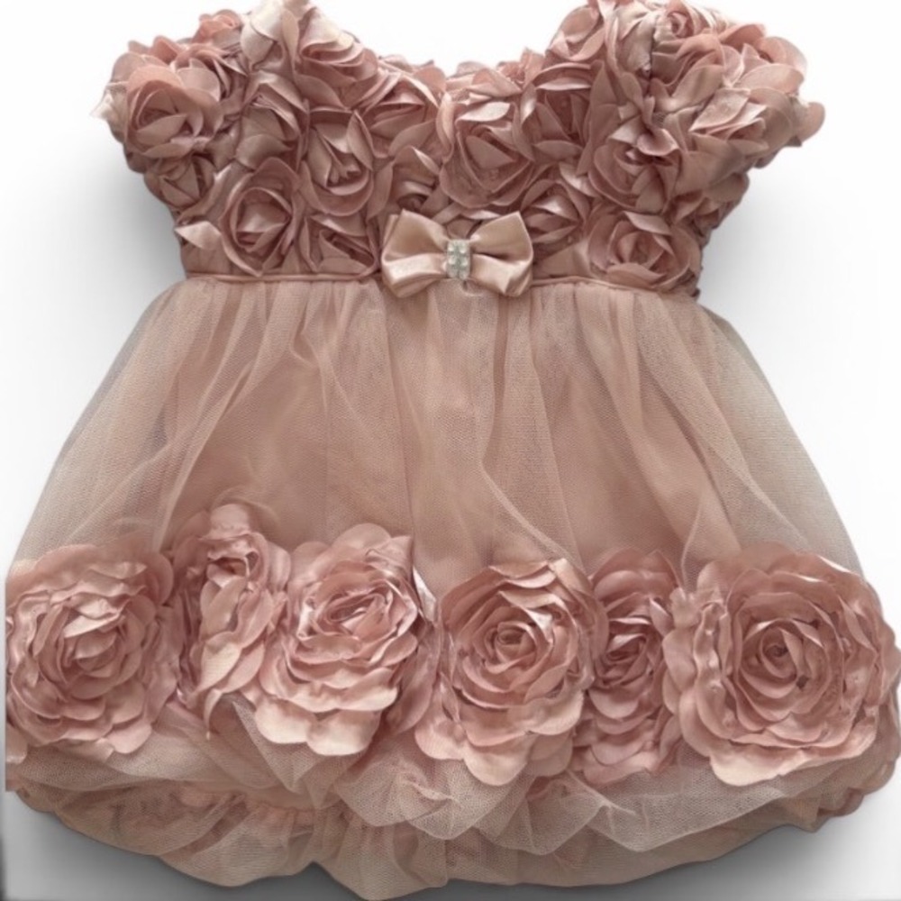 Mauve Pink 3D Rosette Tulle Baby Dress Rhinestone Bow Special Occasion Formal